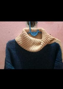 Cozy Two-Tone Turtleneck