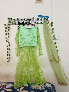 Beautiful Green Lehnga Choli