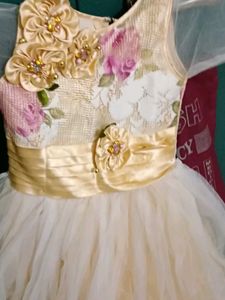 Elegant Girls Dress
