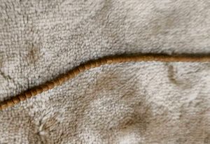 Brown Beaded Strand Necklace