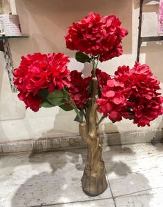 Red Plant