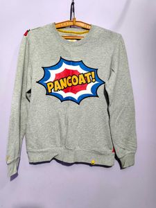 Pancoat Sweatshirt Grey Size S