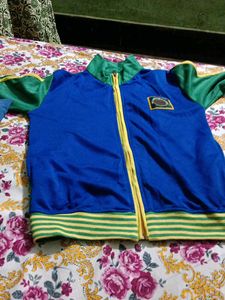 Cool Blue & Green Jacket