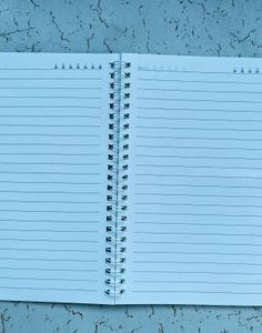 BUY ANY 2 Cute Character A5 Diary (Free Pen)