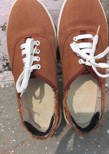 Roadster - Women Brown Solid Sneakers