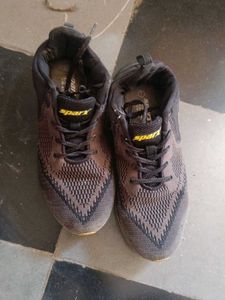 Sparx Sport Shoes