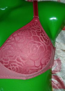 30b Light Padded Bra