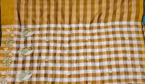 Checked Saree with Embroidery