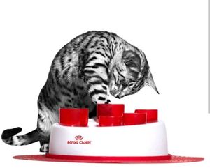 Interactive Cat Feeder