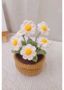 Daisy Flower Pot