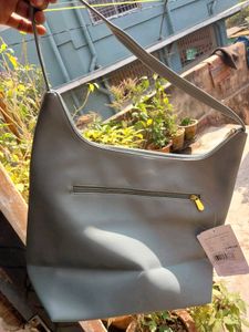 New Baggit Women Blue Hobo Handbag