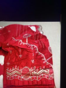 Red &amp; White Striped Sari with Embellished Blouse