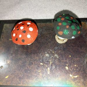 Mashroom Showpeace.