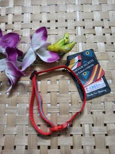 Pet Collar 1 Pc
