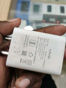 Vivo Original Charger