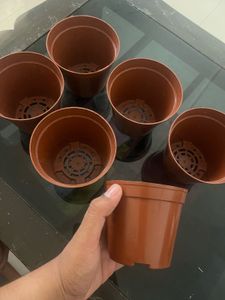 Small size 6 Pots