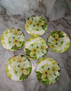 Big Dining Plates With Floral Print