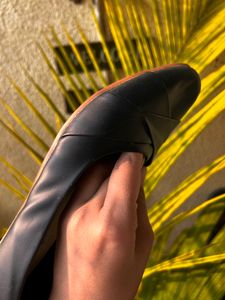 Black Belly Shoe