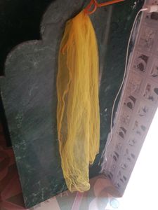 Lehnga Choli With Dupatta