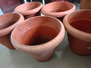 Terracotta Plant Pot