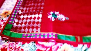 Elegant Red Saree