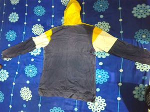 Color Block Hoodie