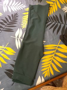 Trouser Pant