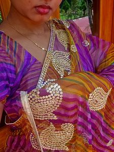 Gorgeous Embellished Saree