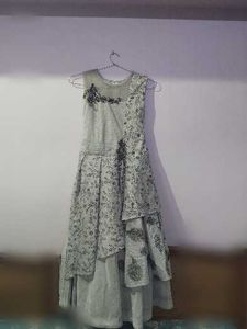 Elegant Embellished Dress