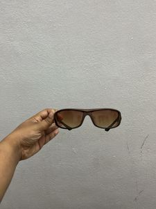 Brown Sunglasses