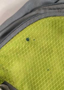 Skybags Backpack - Lime Green