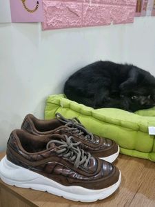 New Catwalk Brown Sneakers UK 3, Eu 36. 22 Cms