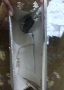 Silver Glitter Clutch