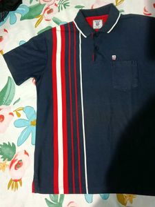 Striped Polo Shirt
