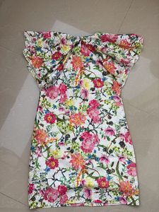 Floral Print Mini Dress