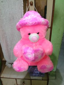 Teddy Bear