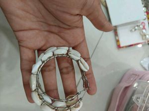 Cowrie Shell Earrings from Everstylish