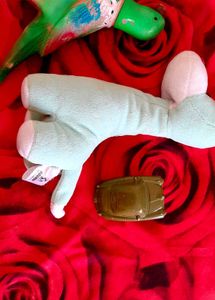 1 Parrot Rubber Toy, Giraffe Soft Toy, Car