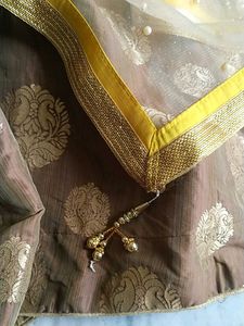 Brown &amp; Gold Lehenga with Dupatta