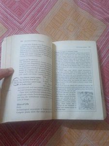 The History Of India