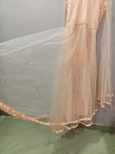 Elegant Ethnic Gown