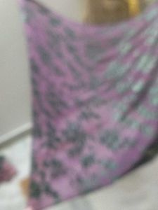 Bright Colour Saree.