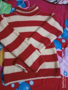 Turtle Nech Pullover For Women Oversized