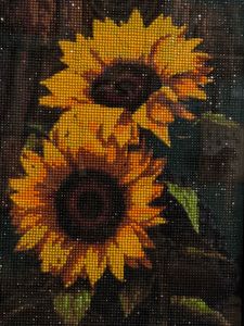 Diamond Painting Art Work (Hand Crafted)