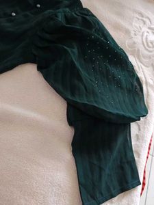 Green Sheer Sleeve Top