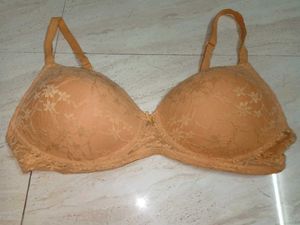 Set Of 2 ZIVAME &amp; SUSIE Top Inners 36b Size