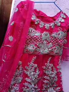 Beautiful  Pink Lehnga..