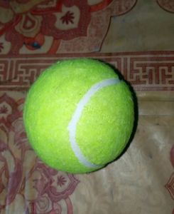 Tenis Ball Pack Of 2