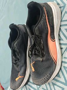Puma Sport Shoes