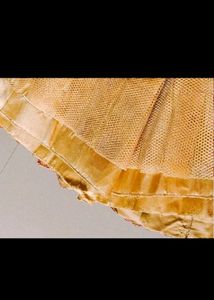 Gorgeous Lehenga Choli